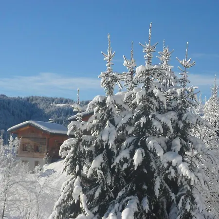 Chalet Confortable Avec Sauna, Wi-fi Et Parking Privé - Fr-1-671-21