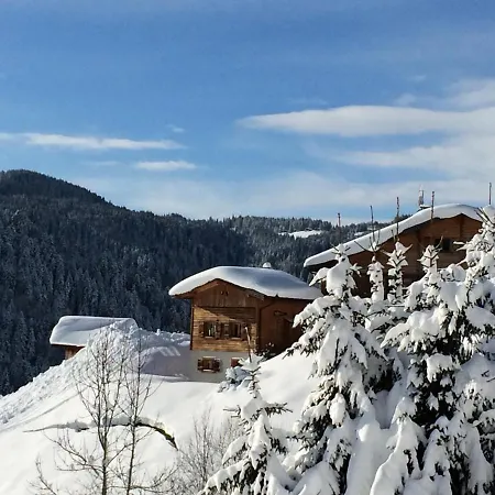 Confortable Avec Sauna, Wi-fi Et Parking Prive - Fr-1-671-21 Chalet *